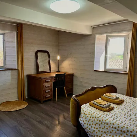 With Pyrenees View Near Foix * Cassagne