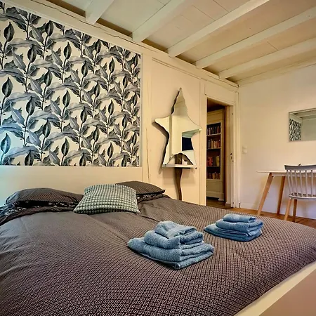 With Pyrenees View Near Foix *